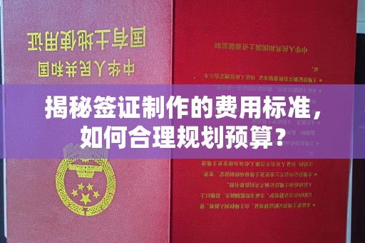 顺庆揭秘签证制作的费用标准，如何合理规划预算？
