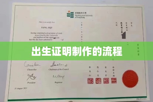 顺庆出生证明制作的流程